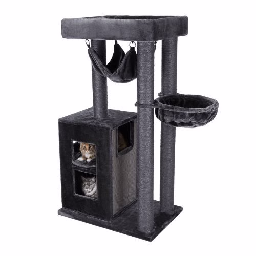 Arbre à chat solide : XXL, pour chat adulte, hamac, 163 cm Amadeus