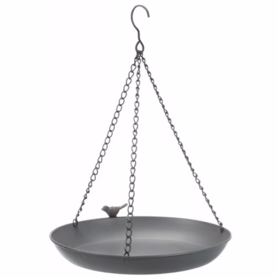 Image53.jpg