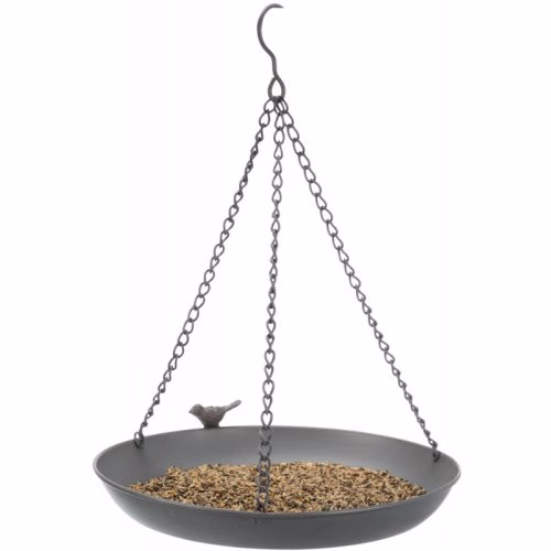 Image53.jpg
