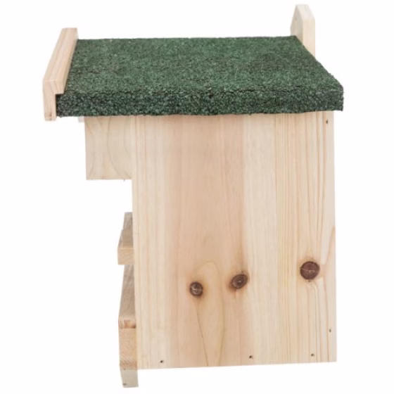 Image9.jpg