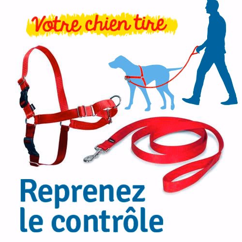 Harnais-rouge-2.jpg