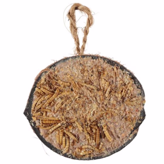 Image15.jpg