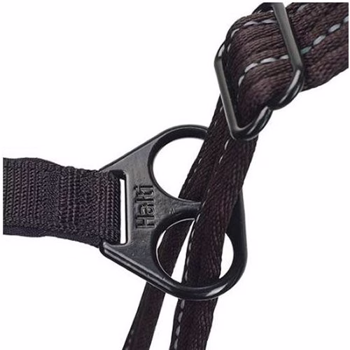 Image13.jpg