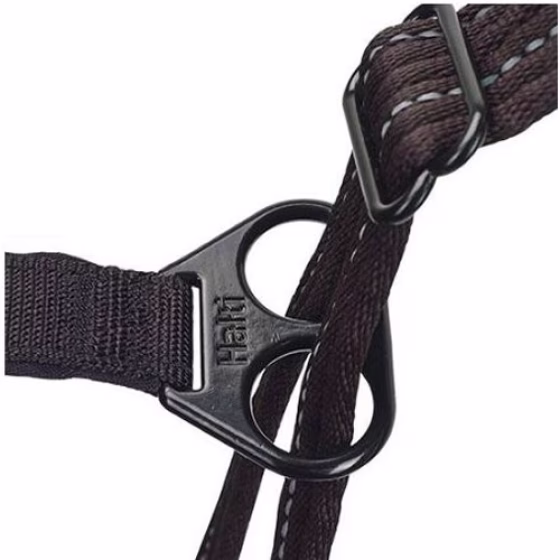 Image13.jpg