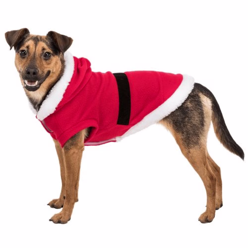 Déguisement Noël pour chien