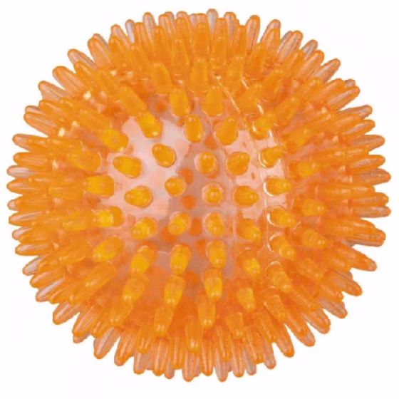 Photo 1.jpg
