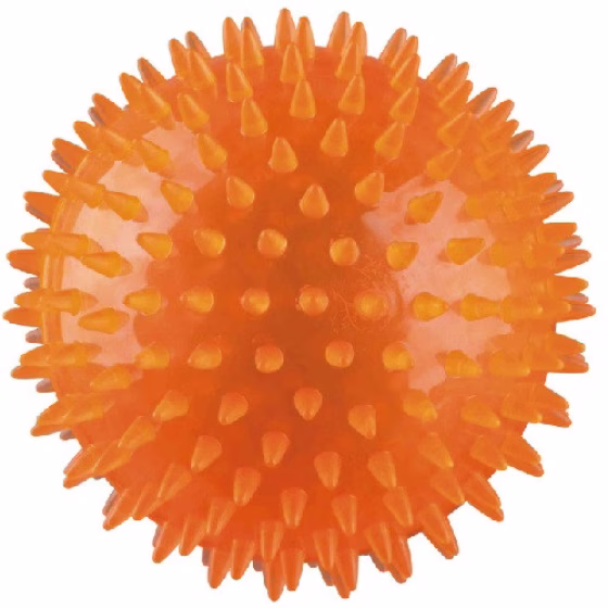 Photo 1.jpg