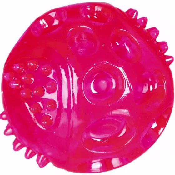 Photo 1.jpg