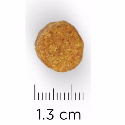 Photo 1.jpg