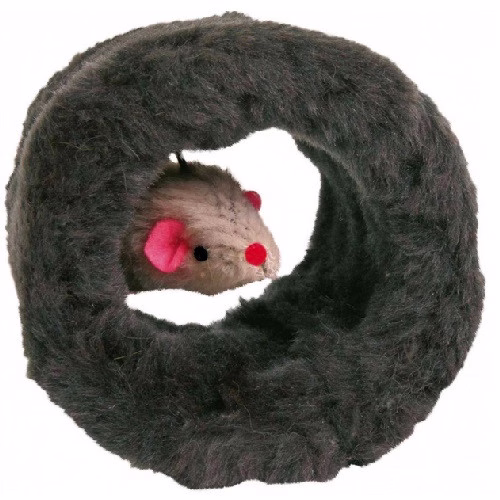 Photo 1.jpg