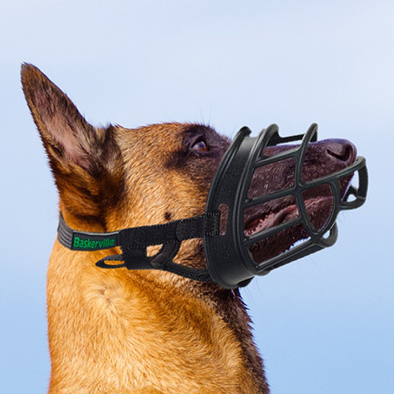 malinois-musel.jpg