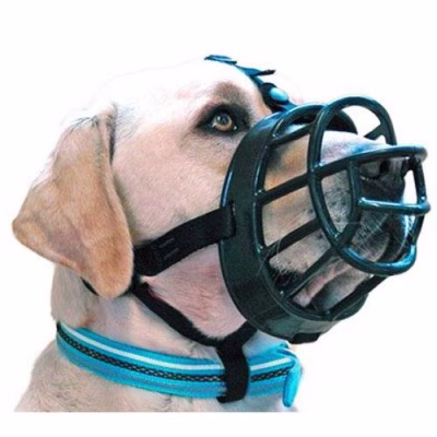 malinois-musel.jpg