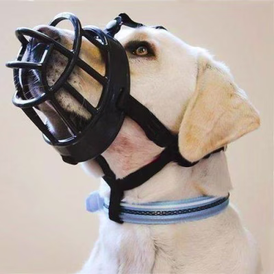 malinois-musel.jpg