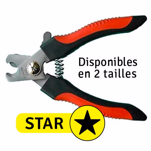 CoupeStar.jpg