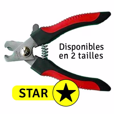CoupeStar.jpg