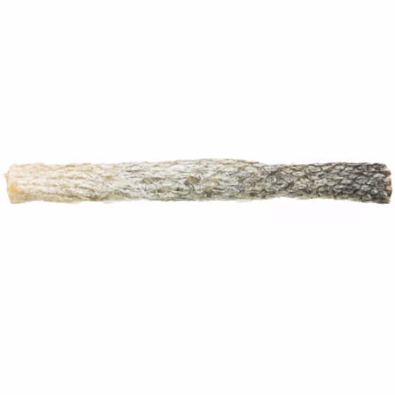 image 1.png