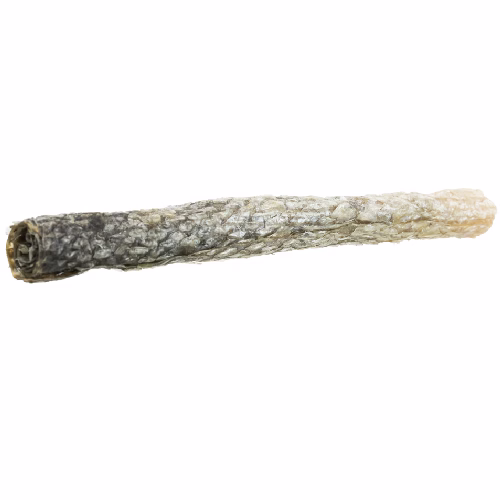 image 1.png