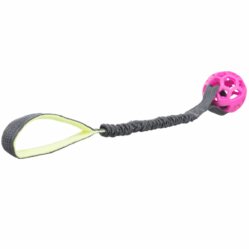 image 1.png