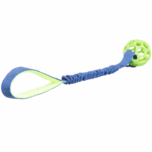image 1.png
