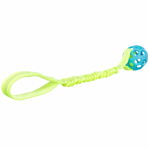 image 1.png