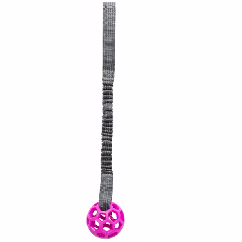 image 1.png