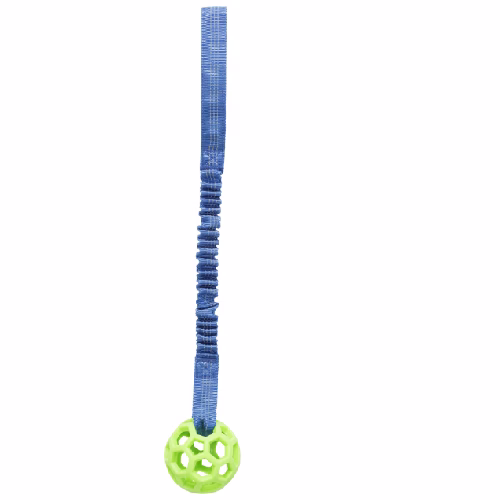 image 1.png
