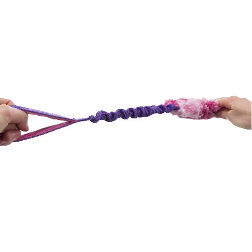 image 2.png