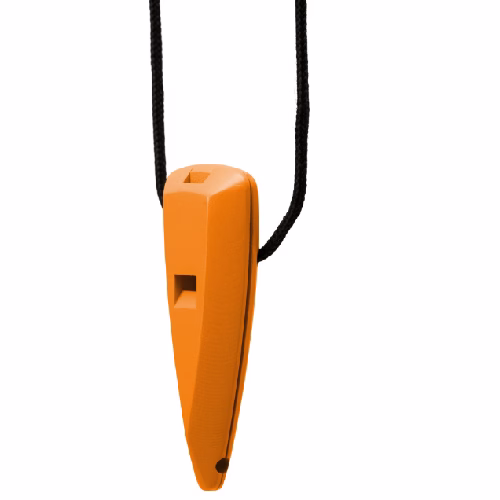image 1.png