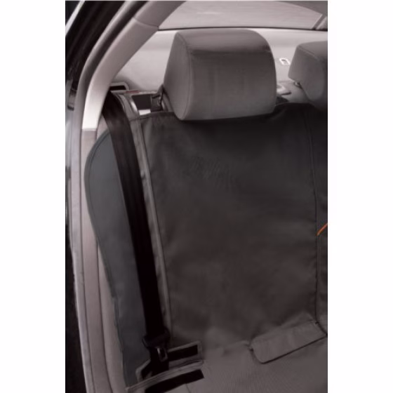 Image10.jpg
