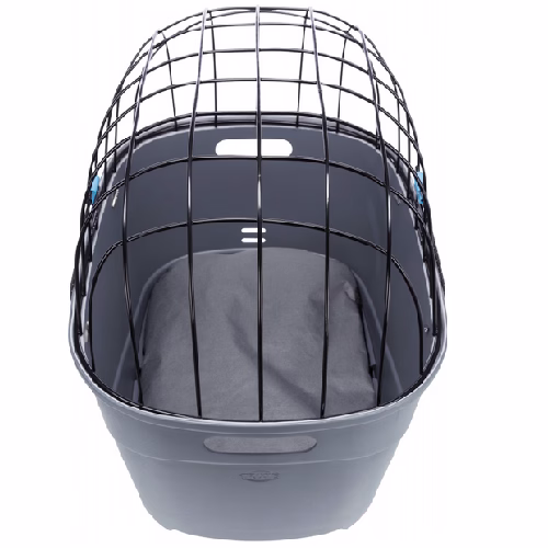 image 1.png