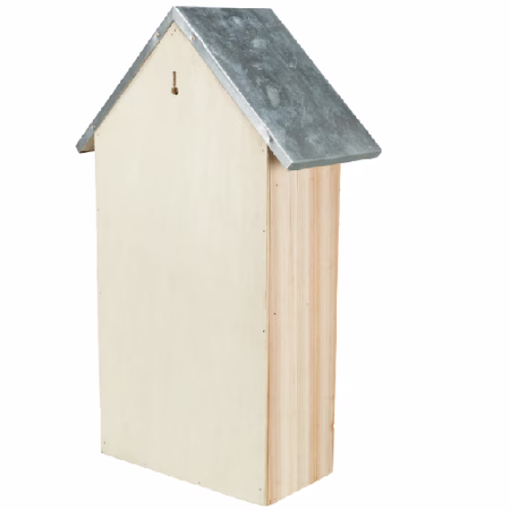 image 1.png