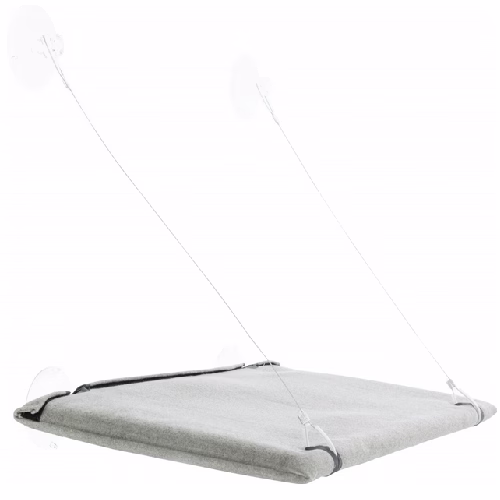 image 1.png