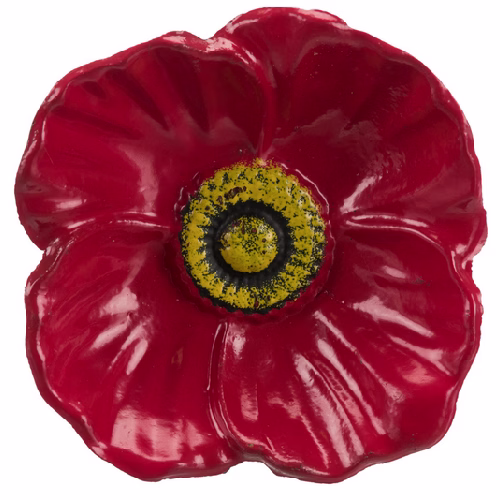 image 1.png