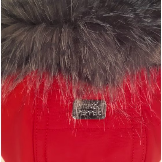 Image21.jpg