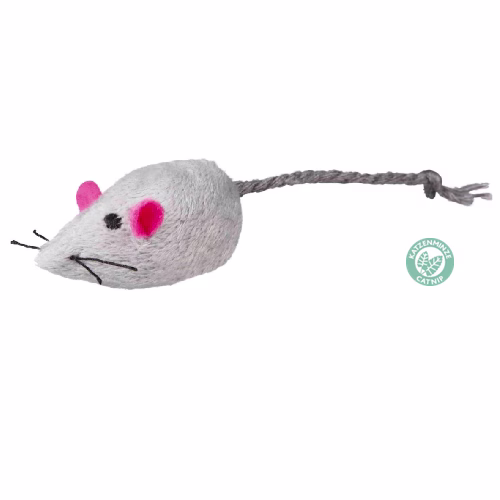 image 1.png