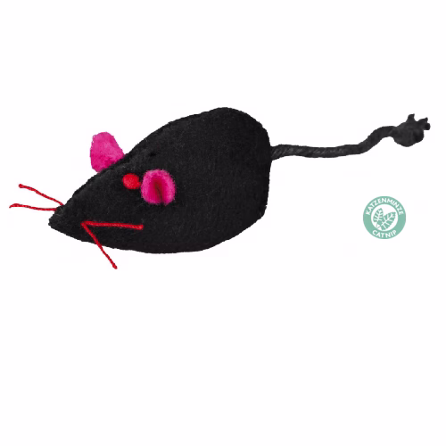 image 1.png