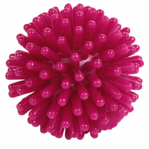 image 1.png