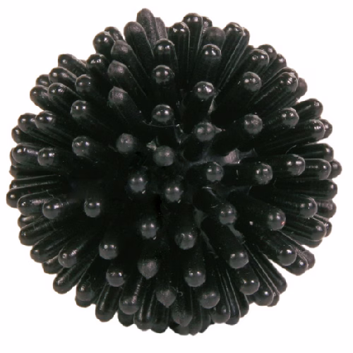 image 1.png