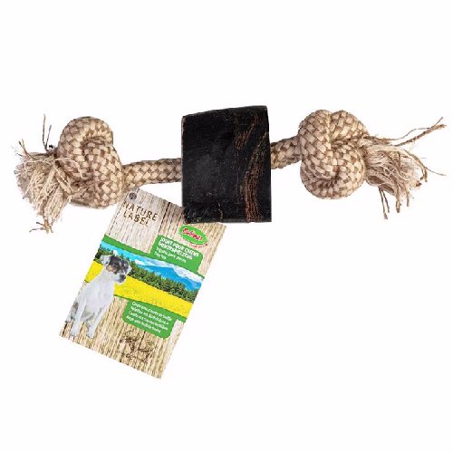 image 1.png
