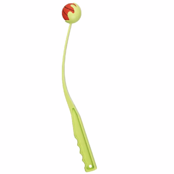 image 1.png
