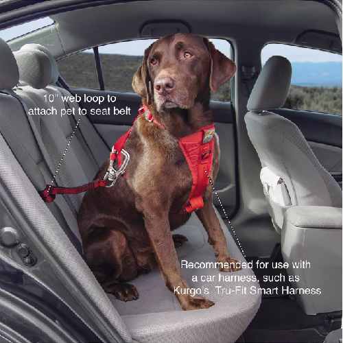 image 1.png