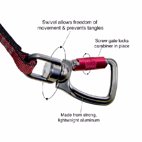 image 1.png