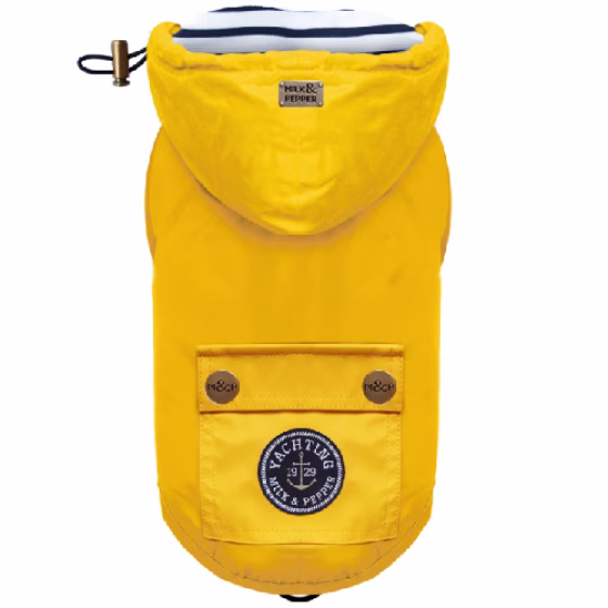image 1.png