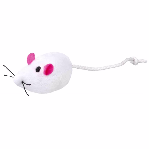 image 1.png