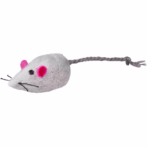 image 1.png