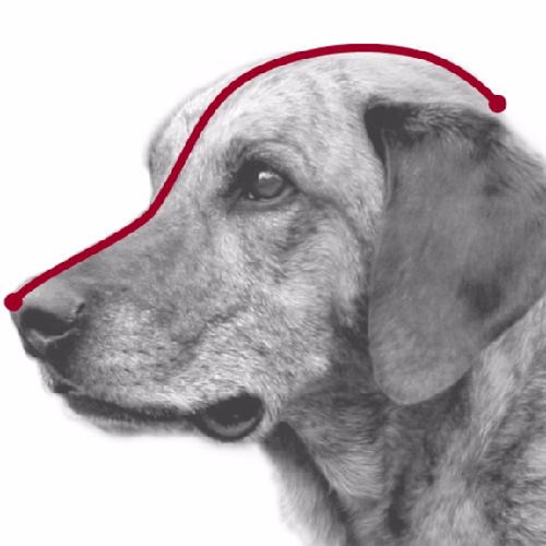 image 1.png