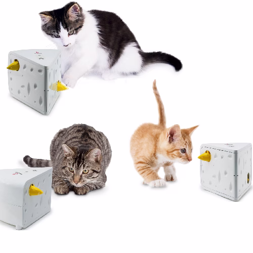 image 1.png