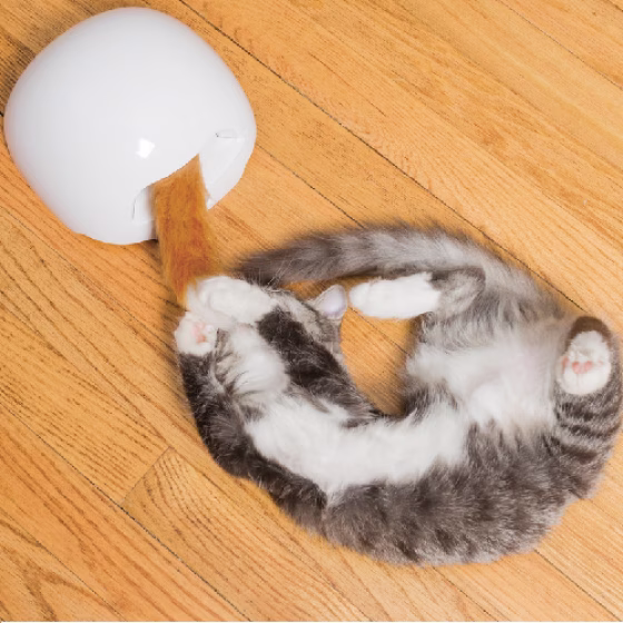 image 1.png