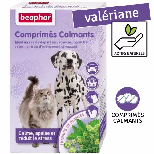 Comprimes.jpg
