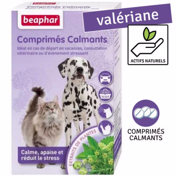 Comprimes.jpg